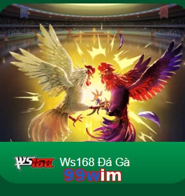 99wim